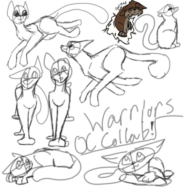 Warriors Collab!