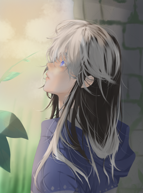 Evergarden