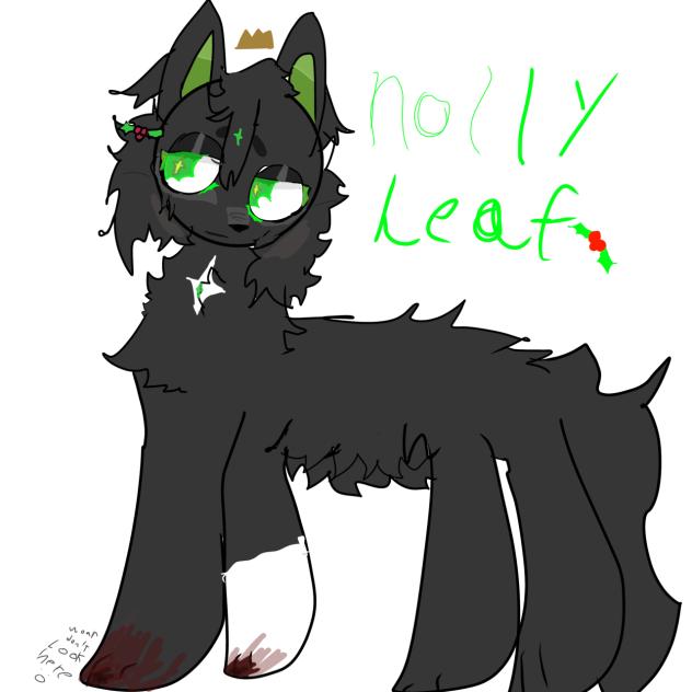 Holly leaf -warrior cats-