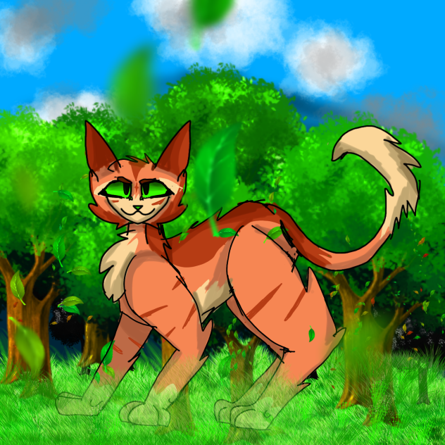 Cat