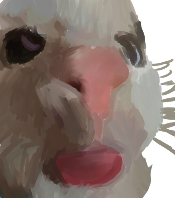 catt !