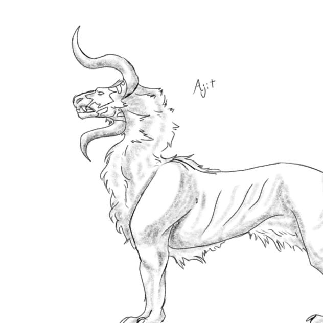 sketch