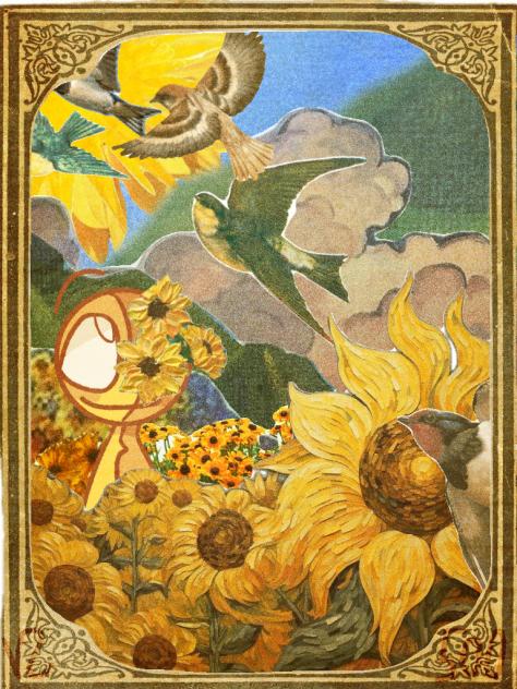 sunflowers