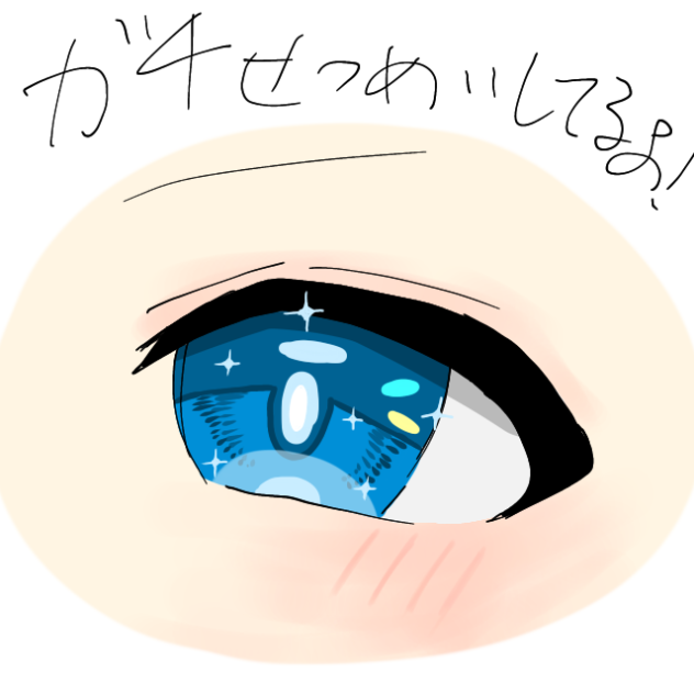 これを見て！！