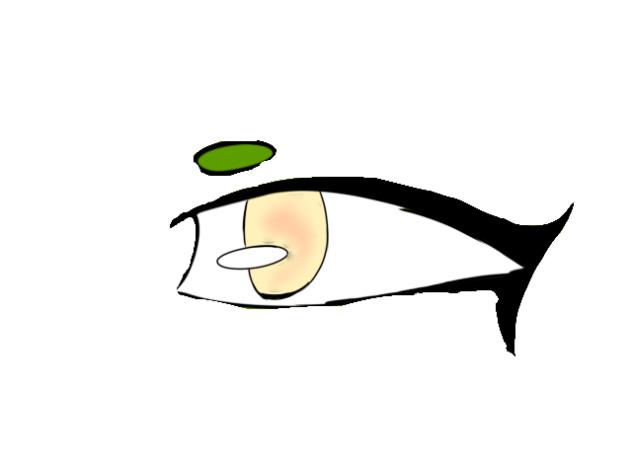 Flippers diffrent forms through eyes