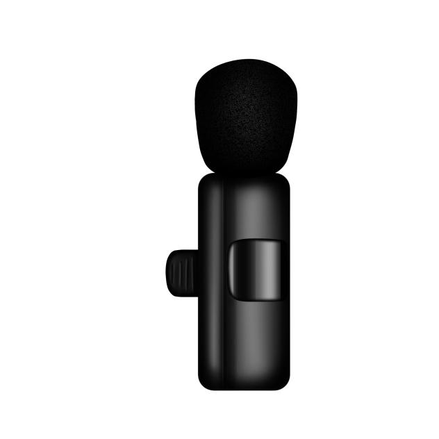 Streamer mic