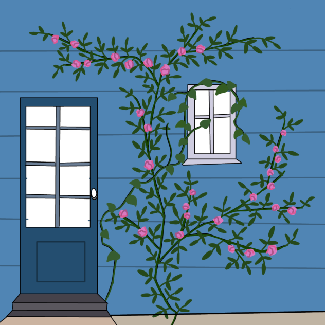 薔薇と青い壁