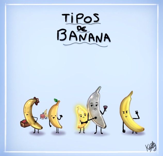 tipos de banana 🍌