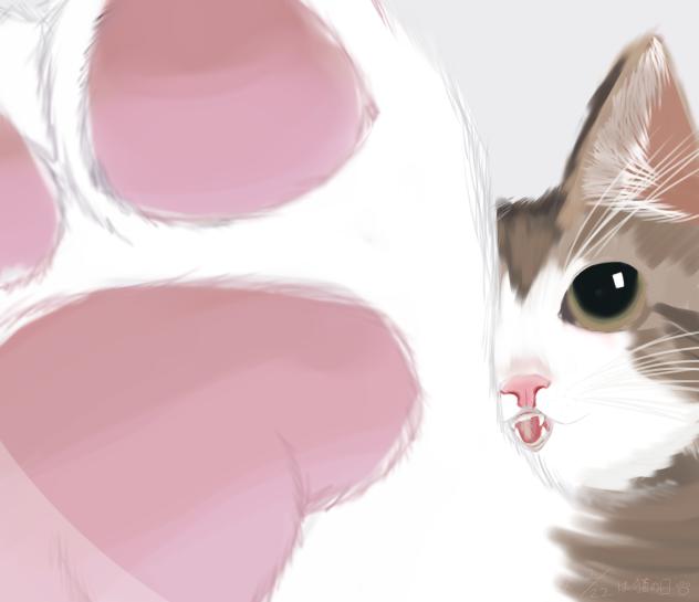 猫の肉球