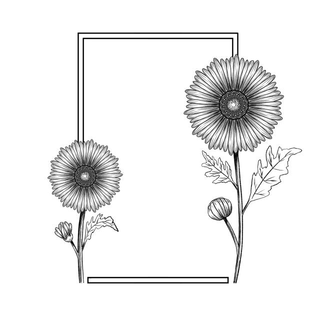 Daisy Frame 🌼