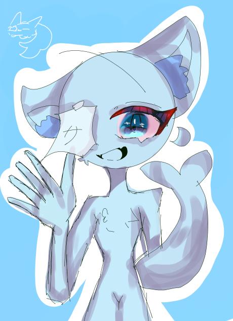 サメネコちゃーん