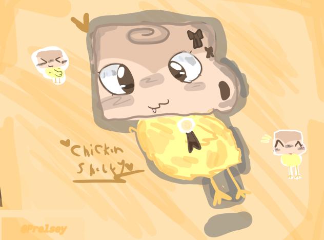 chicken shelly