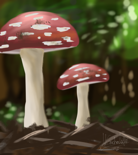 Mushroooooommmm