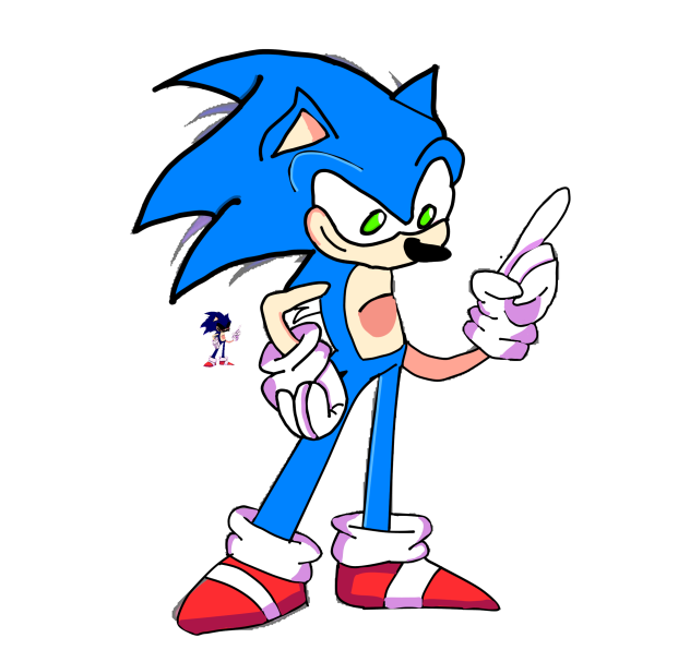 sonic run
