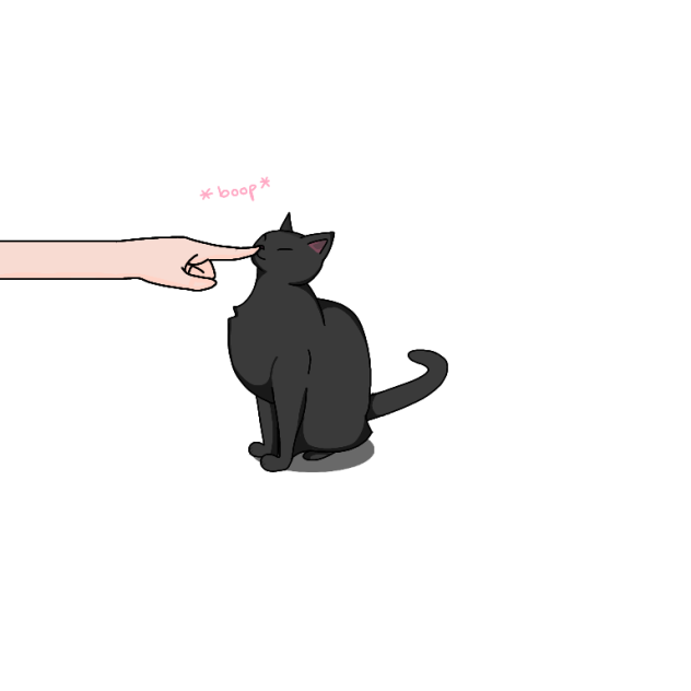 Cat animation