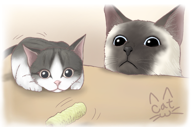 Cat - ibisPaint