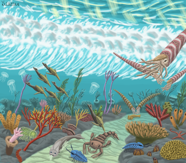 Ordovician Seas