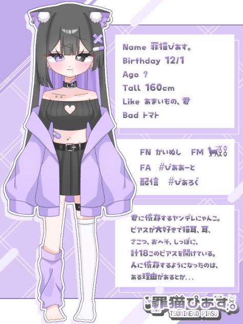 アイチューバー資料