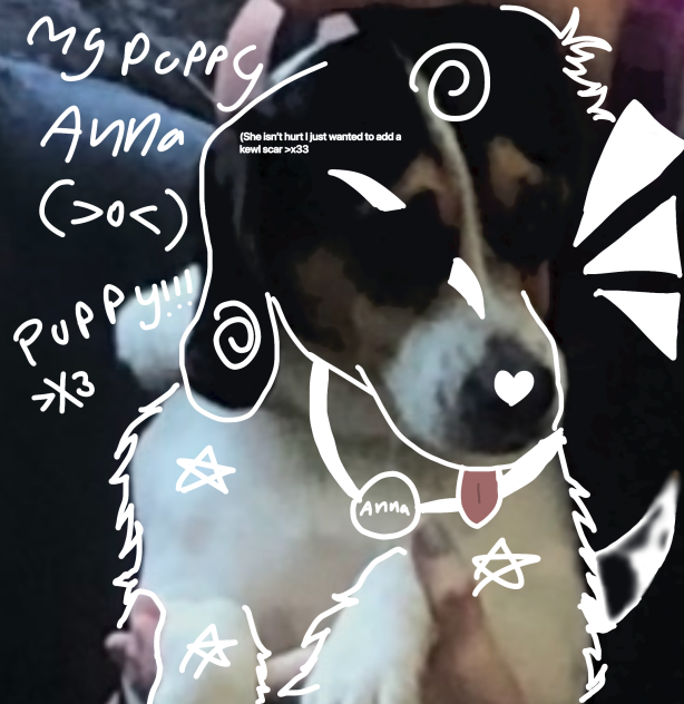 MY PUPPY ANNA ^-^