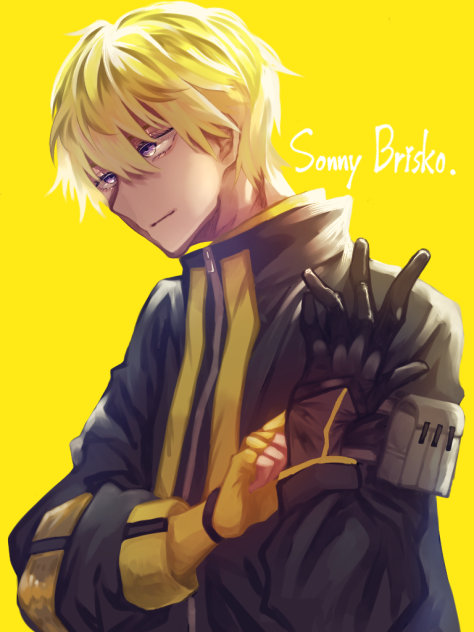 サニーブリスコー