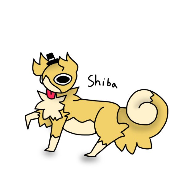 Shiba