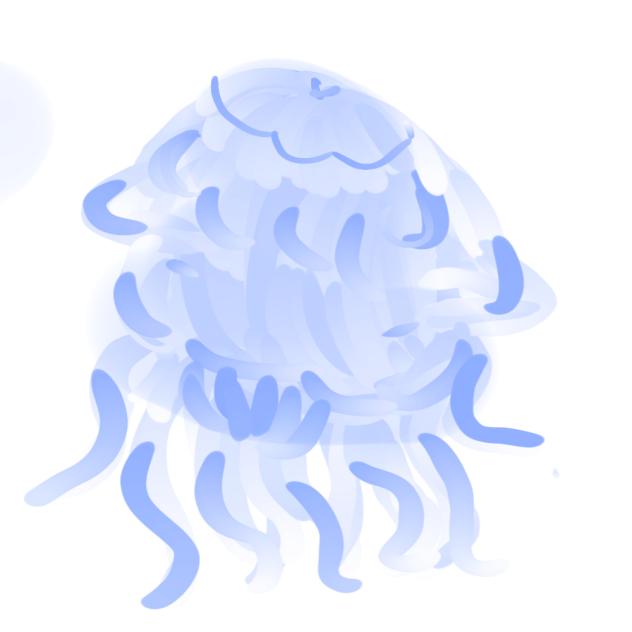 jellyfish!!
