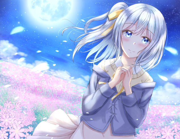 夜空に咲く乙女の花