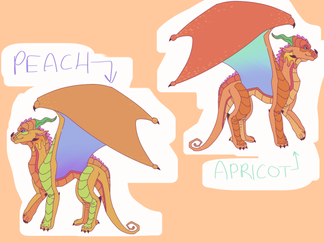 Peach and Apricot