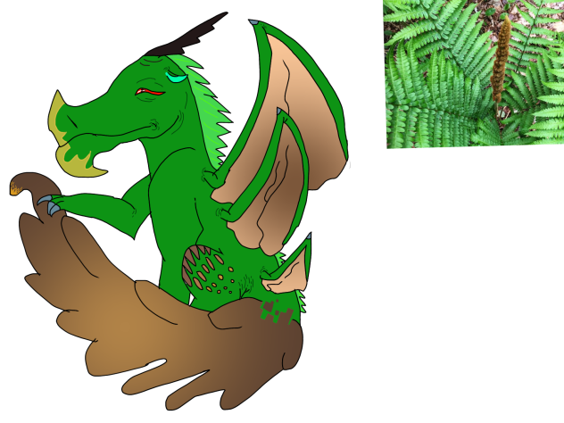 My Fern