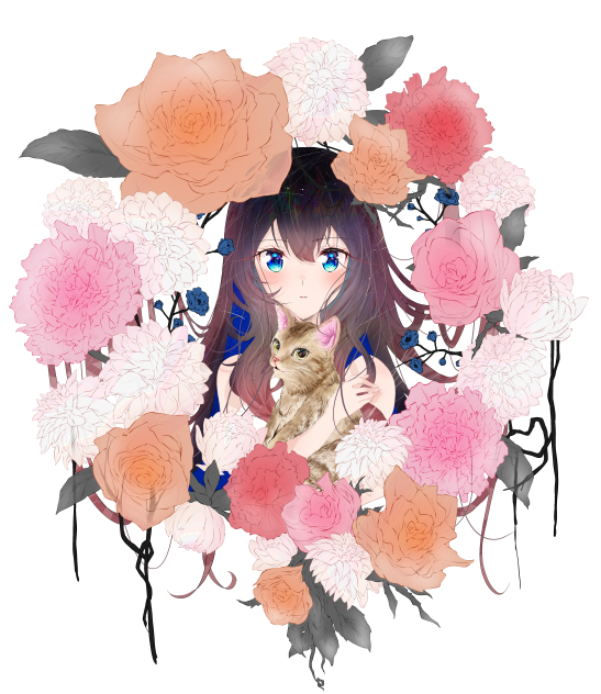 花と猫