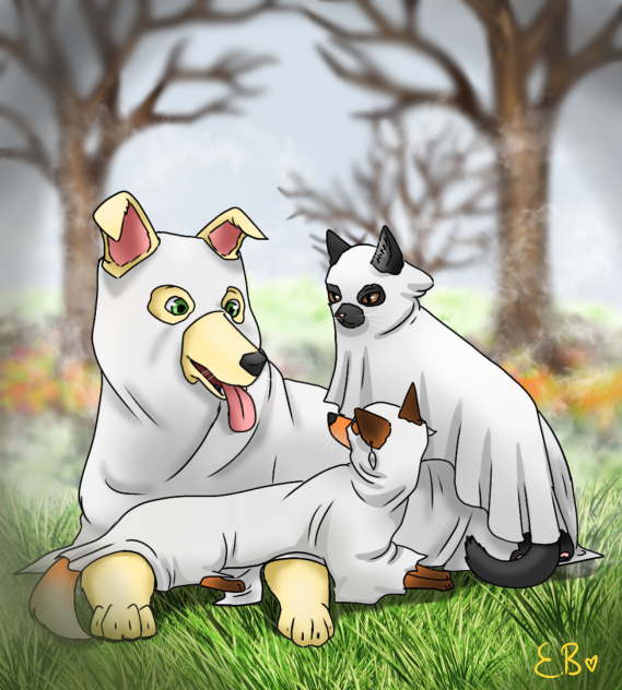 👻🐶🐈‍⬛🦊