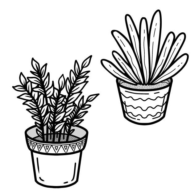 Plant 1