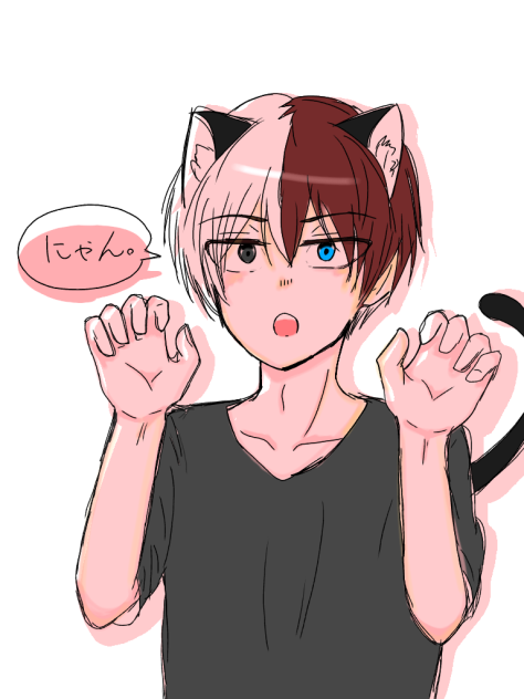 轟くんを猫化