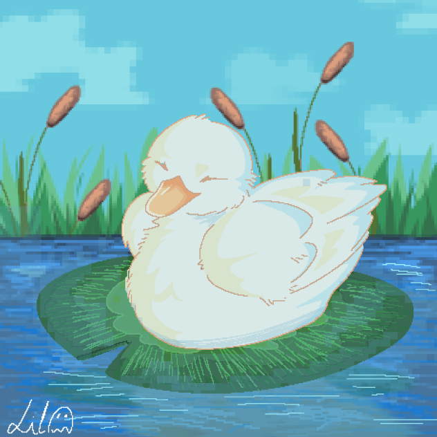 Lil duck