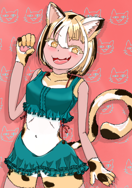 三毛猫娘