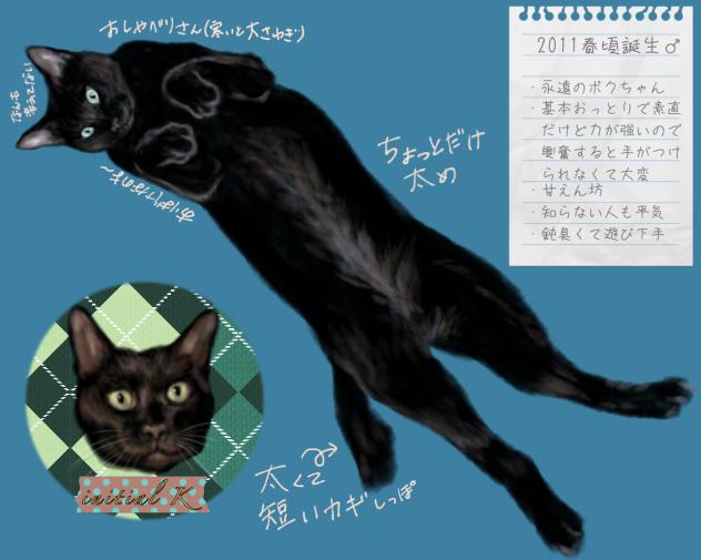 うちのコら紹介　黒猫