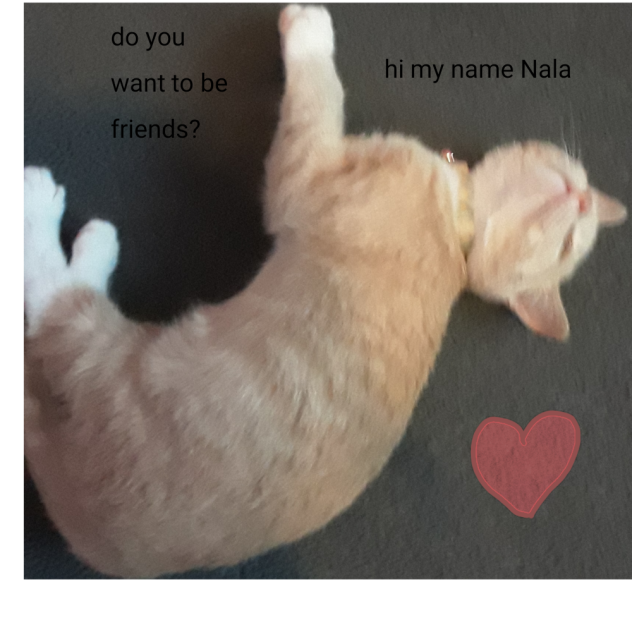 my kitten - ibisPaint