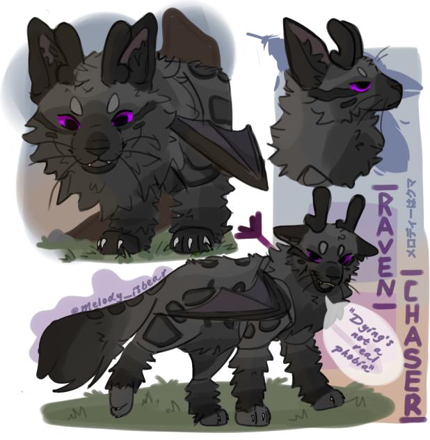 Ravenchaser!