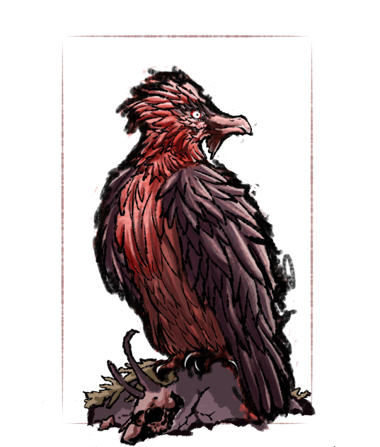 Vulture