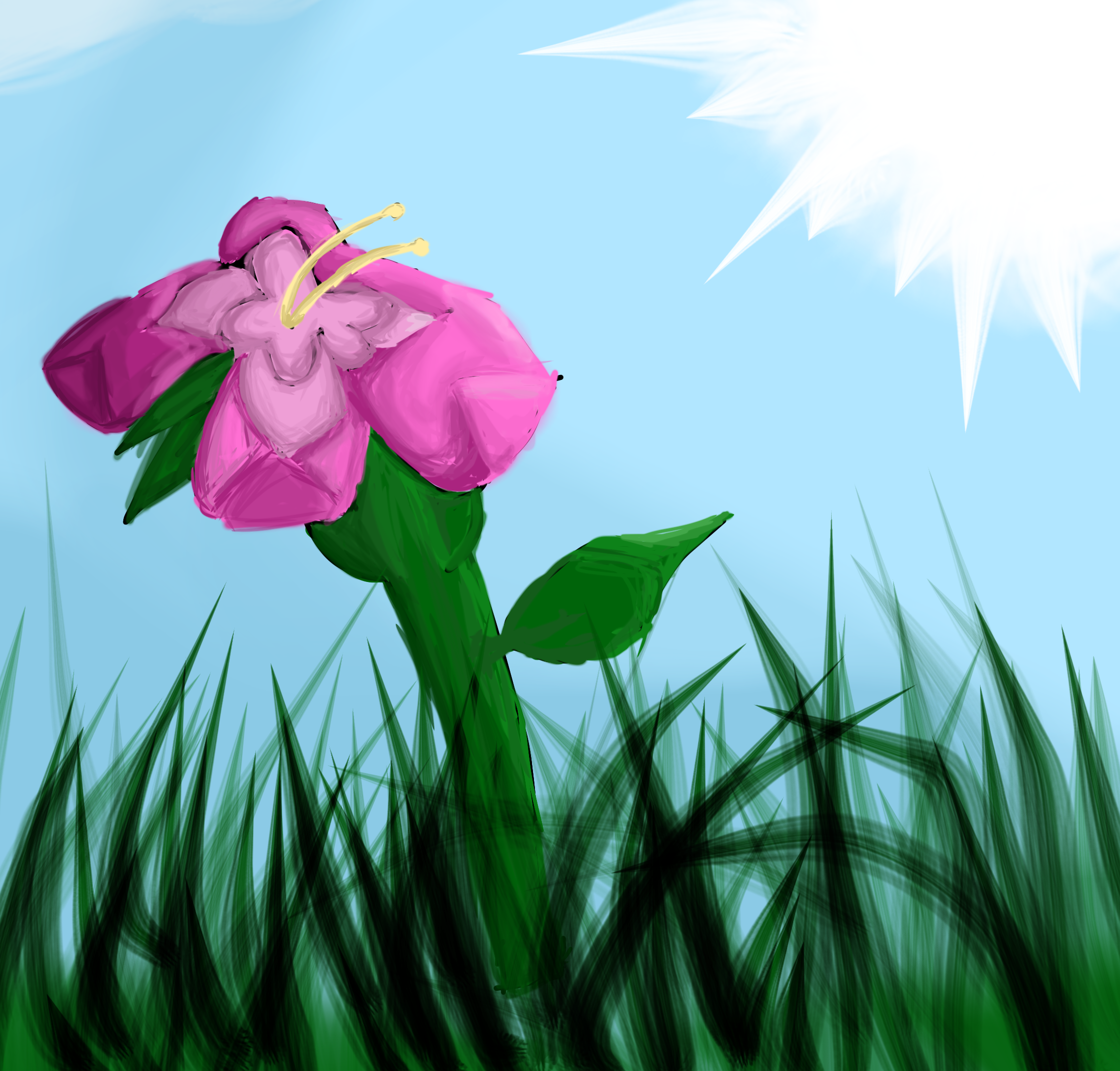 Flower - ibisPaint