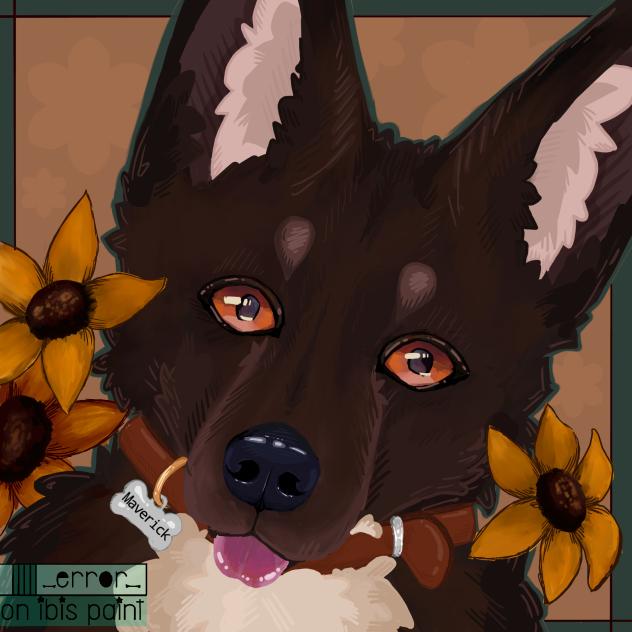 Maverick 🌼🌻