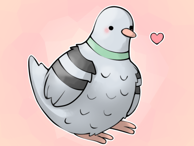 Pigeon 💙