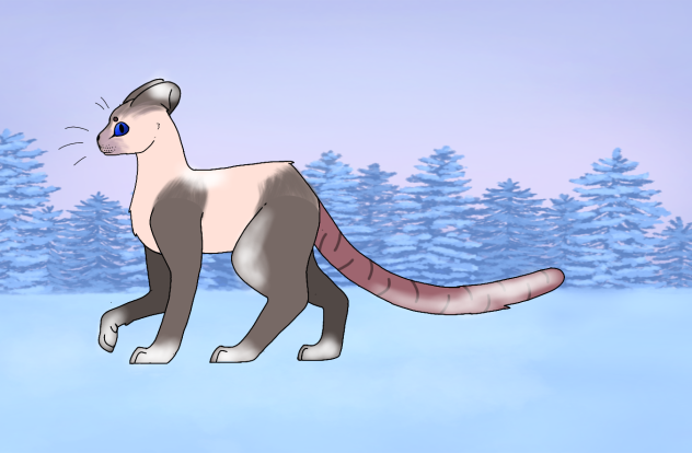 how I died as a possum