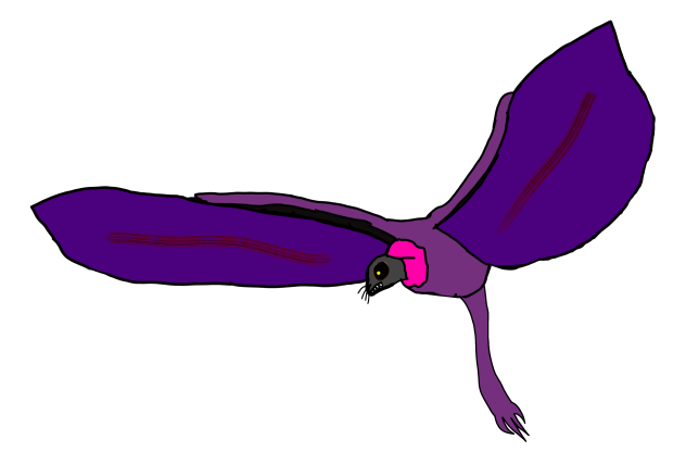 13 Coast Titans-A Osprey