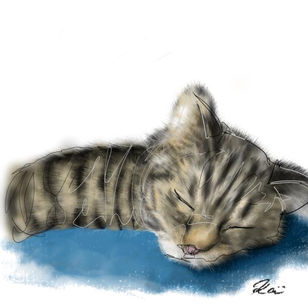 チピちゃん Cat