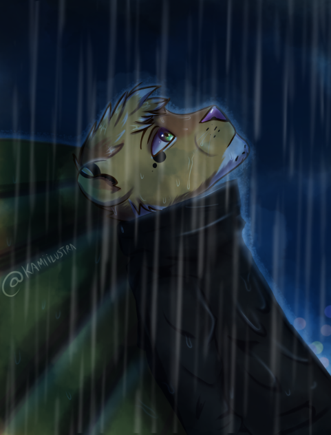 Rain🌧️