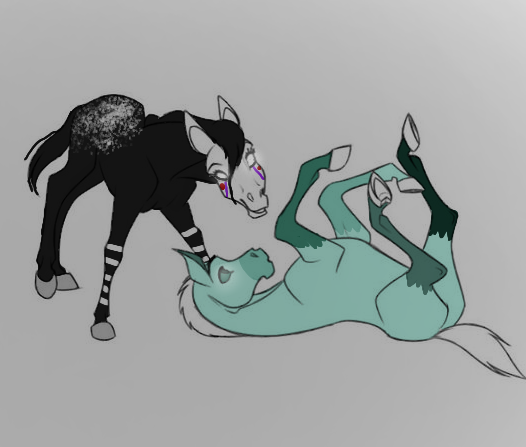 Puppet and Icicle - Friendly foals