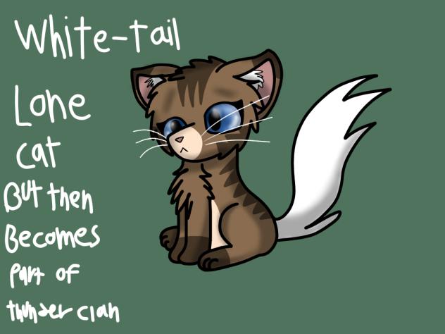 WhiteTail. Warrior Cats.