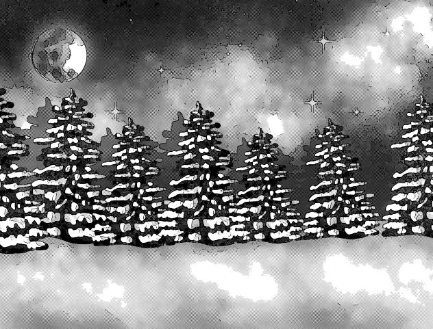 Winter starry sky2