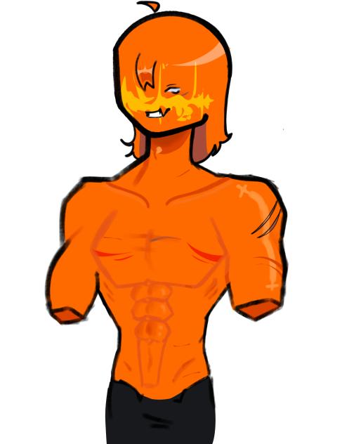 Venus’s anatomy